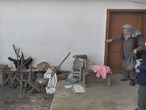 Emekli Maaşıyla Yüzlerce Kediye Bakıyor