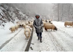 Ordu’da Etkili Kar Yağışı