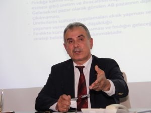 Ttb Başkanı Ergan Ktü’de Fındığı Anlattı