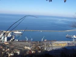 Trabzon Limanında konteyner kazası 1'i ağır 4 yaralı