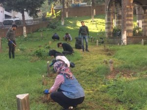 Üniversiteli Öğrencileri Projelerini Mezarlıkta Tamamladı