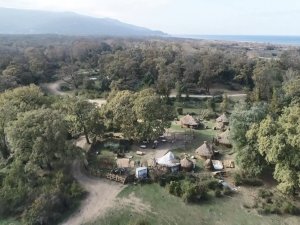 Karacabey Longoz’unda Sonbahar Güzelliği