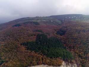 Karadeniz’de Sonbaharda Renk Cümbüşü