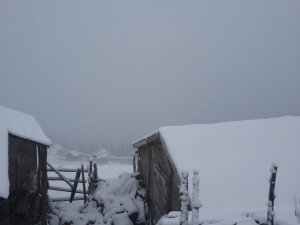 Giresun’da Kar Yağışı Yüksek Kesimlerde Etkili Oldu