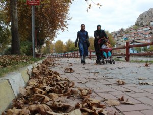 Sonbahar Yaprakları 3 Gün Boyunca Süpürülmeyecek