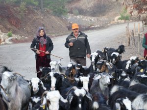 Konargöçer Kültürünün Son Temsilcileri
