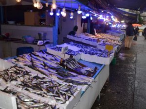 Karadeniz’de Avlanma Rakamları Her Yıl Düşüyor