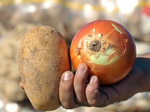 Tüketiciye Patates Ve Soğandan Bir Kötü Haber Daha