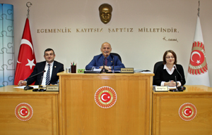 İl Genel Meclisinde Rize Turizmi Görüşüldü