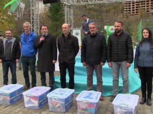 Borçka Tarımda Yol Alıyor