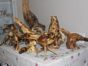 Ağaç Kökleri Sanat Eserine Dönüşüyor