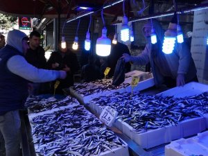 Vatandaş Hamsinin Tekrar Ucuzlamasını Bekliyor