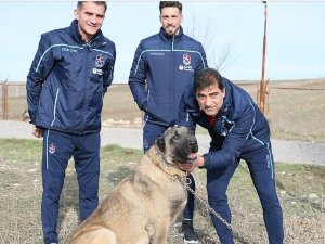 Karaman Ve Sosa, Kangal Çiftliğini Ziyaret Etti