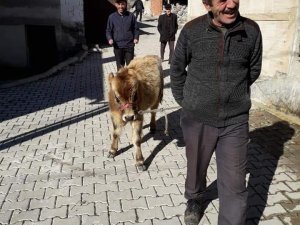 Yabani Hayvanlara Ve Soğuk Kış Şartlarına Rağmen Dağda Tek Başına 3 Ay Yaşadı