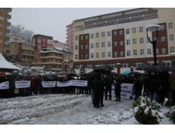 Rize'de İlahiyat Öğrencilerinin Pedagojik Formasyon Eylemi