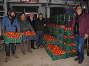 Domateste Kış Maliyeti Yükseltti, Fiyatı Düşürdü