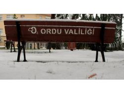 Ordu’da 479 Köyün 402’si Ulaşıma Kapalı