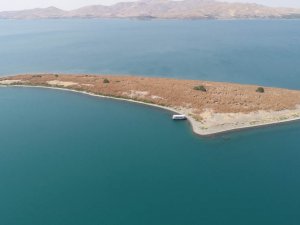 Gölün Ortasındaki Ada "Tavşanlara" Ev Sahipliği Yapıyor