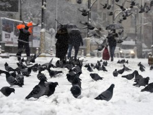 Gümüşhane’de Kar Yağışı