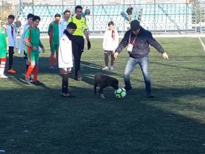 Sahaya Giren Köpek Ortalığı Birbirine Kattı