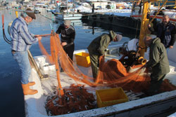 Balıkçılara da Teknelerinde Doktor ve Sağlık Personeli Bulundurma Zorunluluğu