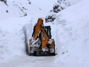 Gümüşhane’de Çığ Tehdidi