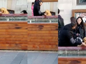 Susayan Köpeğe Elleriyle Su İçirdi