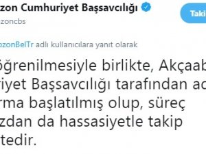 Trabzon’daki Hayvan Katliamına Adli Soruşturma Başlatıldı