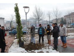 Fatsa’da Başbakan Hazırlığı