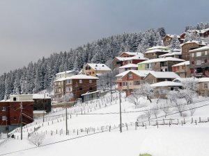 Giresun Yaylalarından Kartpostallık Görüntüler