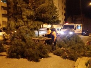 Fırtına Ağaçları Devirdi, Araçlara Zarar Verdi