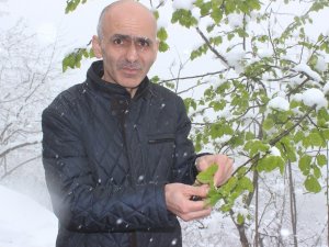 Giresun Ziraat Odası Başkanı Karan: “İşinizi Şansa Bırakmayın, Tarım Sigortası Yaptırın”