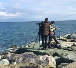 Rize’de Su Kuşları Sayımı Yapıldı