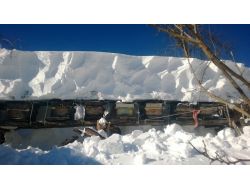 Artvin’in Macahel Bölgesinde Ağır Kış Şartları Hüküm Sürüyor
