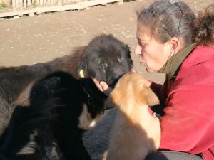 Doğuştan Gözleri Olmayan Köpeğe Evladı Gibi Bakıyor