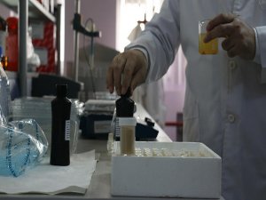Erzurum'da yerli 'nano-keratin' üretildi
