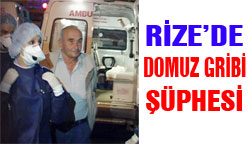 Rize'de Domuz Gribi Şüphesi