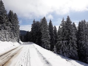 Giresun’un Yaylaları 4 Mevsim Yöre İnsanını Kendisine Çekiyor