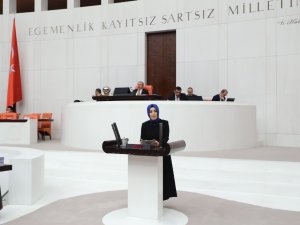 Ak Parti’li Ayvazoğlu: "Tespit Edilen Eserlerin Bir Kısmı Da Petersburg Hermitage Müzesi’nde Sergilenmektedir”
