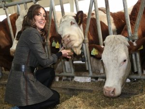 Devlet desteğiyle tesis kurdu günlük 5 ton süt üretiyor