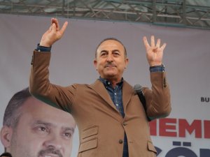 "Avusturya’ya Gidip Rabia Ve Bozkurt İşaretleri Yapacağım"