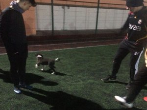 Futbolcularla Antrenman Yaptı