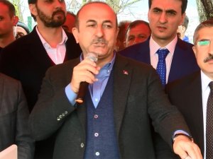 Avusturya’nın "Bozkurt İşareti" Kararına Tepki