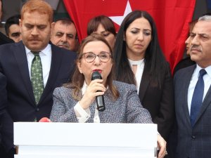 Zeytindalı Sınır Kapısı Açılıyor