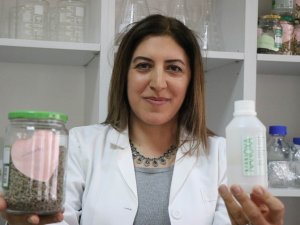 Bitki Özlerinden Temizlik Jeli Üretti
