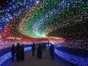 Trabzon’a ’Işık Müzesi’ Kurulacak