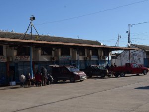 Trabzon Toptancı Balık Hali Son Yılların En Durgun Dönemini Yaşıyor