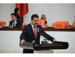 Ak Parti Kastamonu Milletvekili Mustafa Gökhan Gülşen: