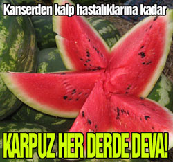 Kansere, kiloya, kalbe birebir meyve