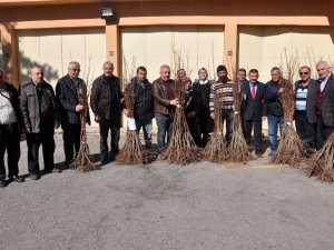 Gümüşhane’de Çiftçilere Meyve Fidanı Dağıtımı Yapıldı